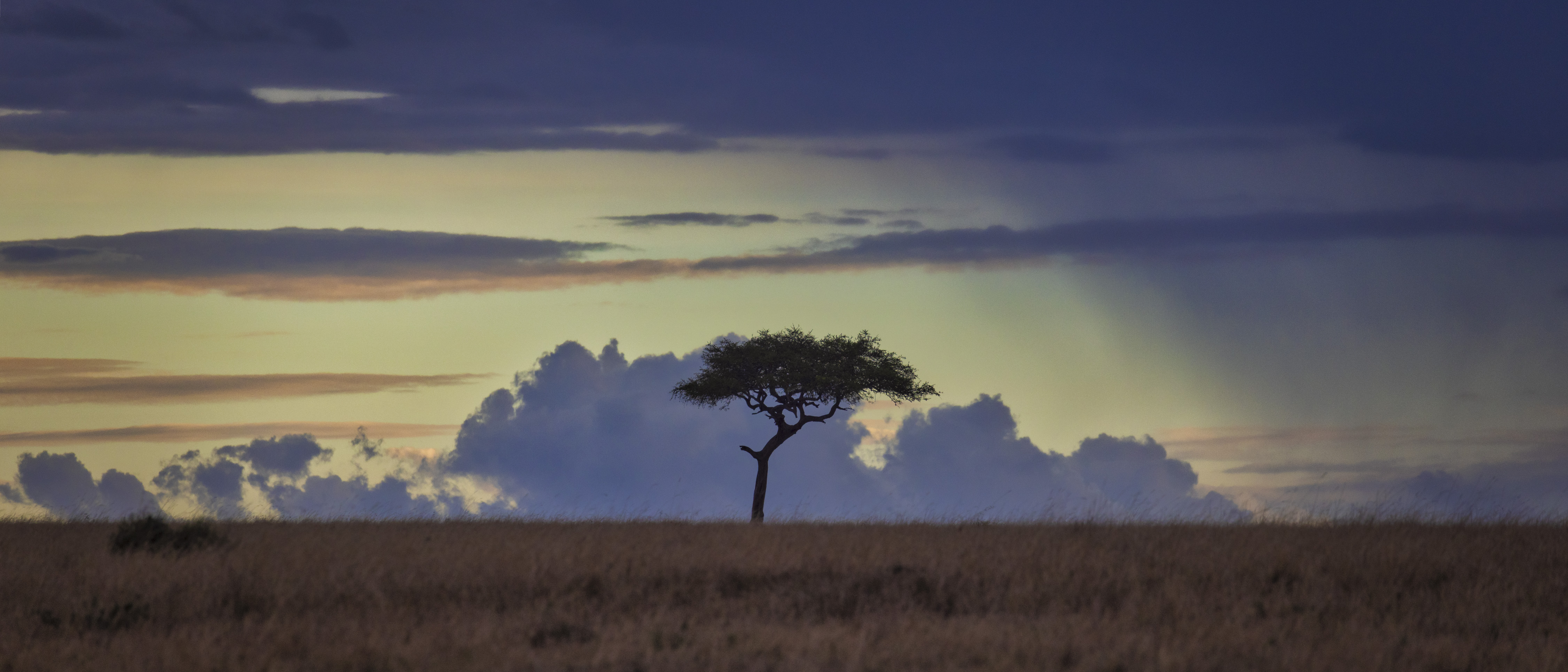 November 11, 2022-174325-Edit.jpg